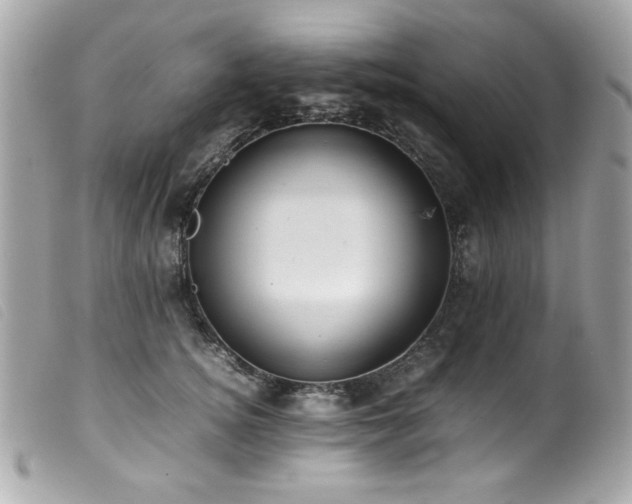 X0000100230756200805301412