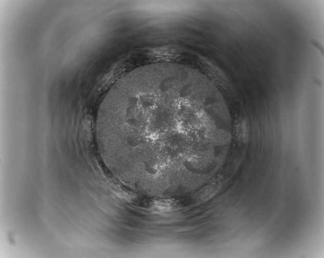 X0000100230757200805301412