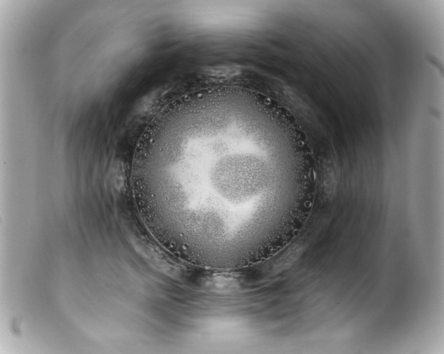 X0000100230758200805301412