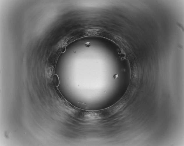 X0000100230759200805301412