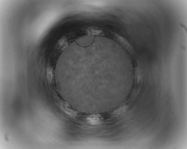X0000100230761200805301412