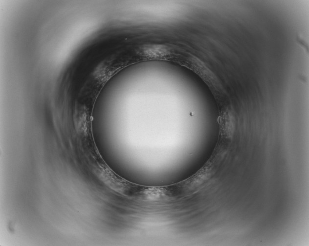 X0000100230762200805301412