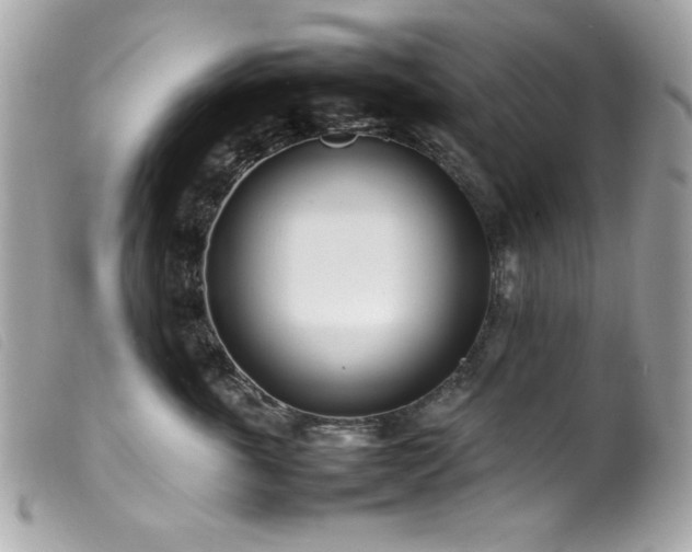 X0000100230763200805301412