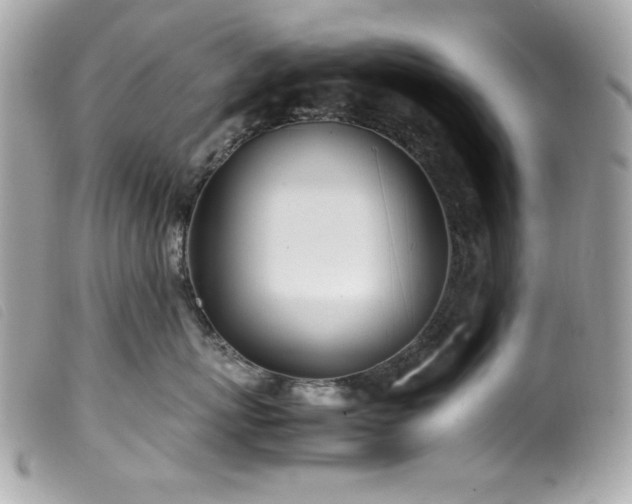 X0000100230767200805301412