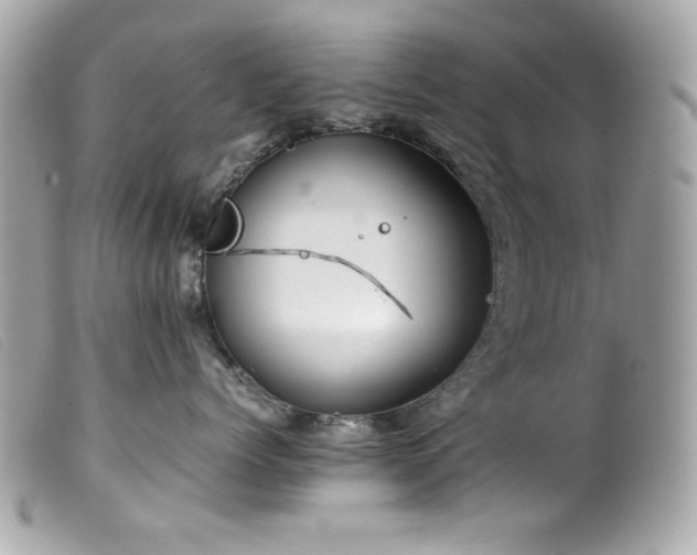 X0000100230768200805301412