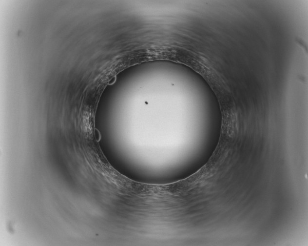 X0000100230770200805301412