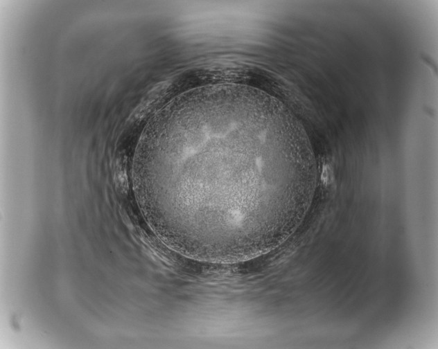 X0000100230771200805301412