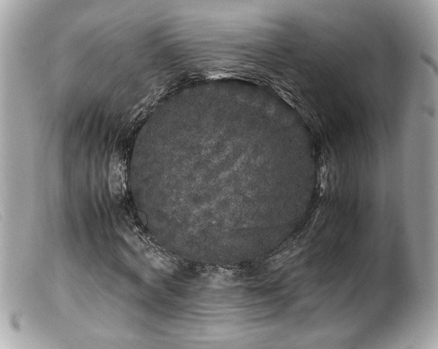 X0000100230772200805301412