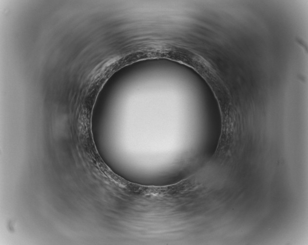 X0000100230773200805301412