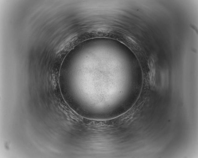 X0000100230774200805301411