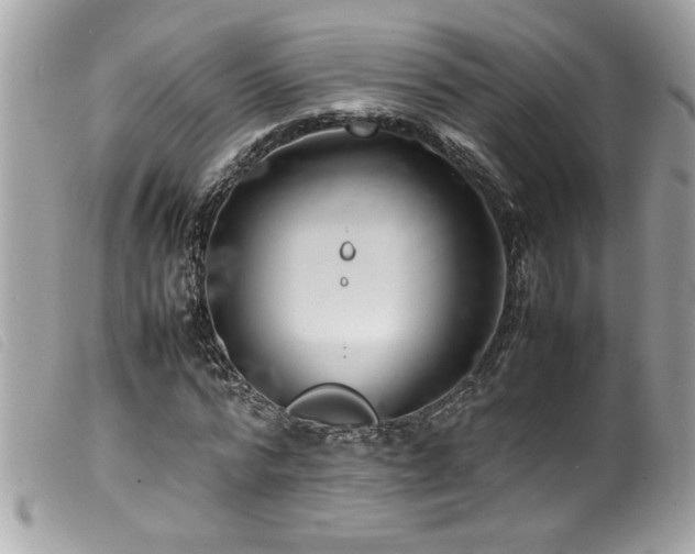 X0000100230776200805301411