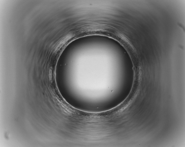 X0000100230777200805301411