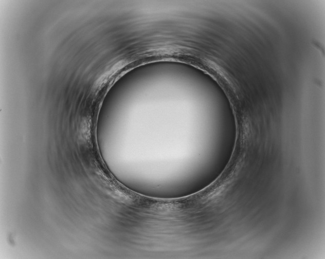 X0000100230778200805301411