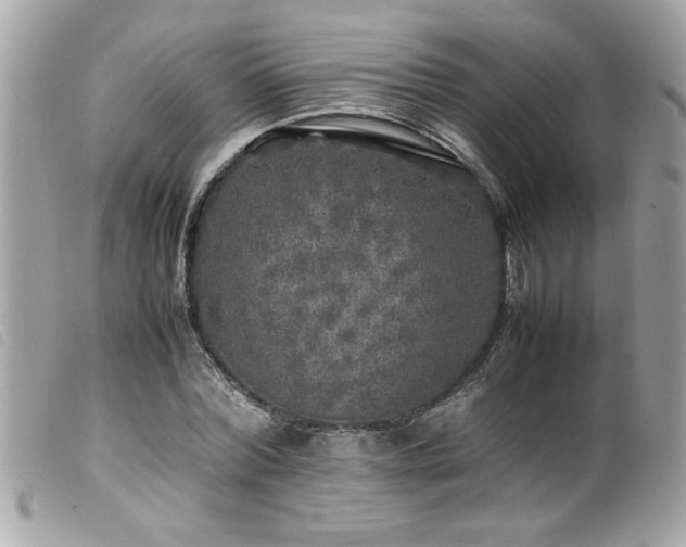 X0000100230780200805301411