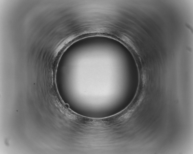 X0000100230781200805301411