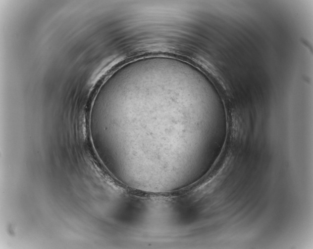 X0000100230782200805301411