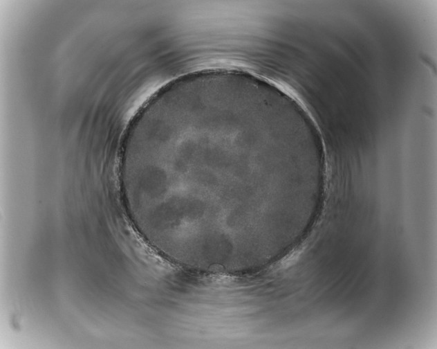 X0000100230783200805301411