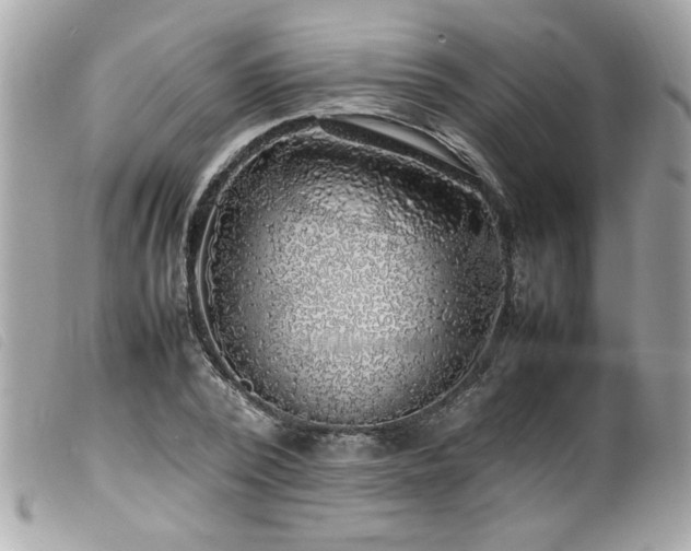 X0000100230784200805301411