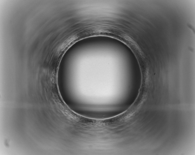 X0000100230785200805301411