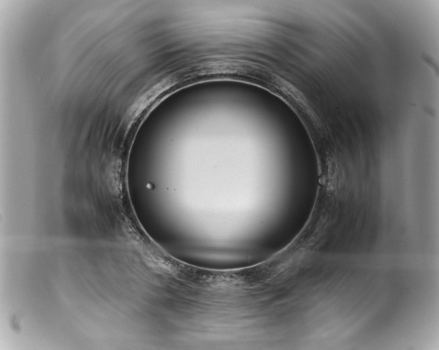 X0000100230786200805301411