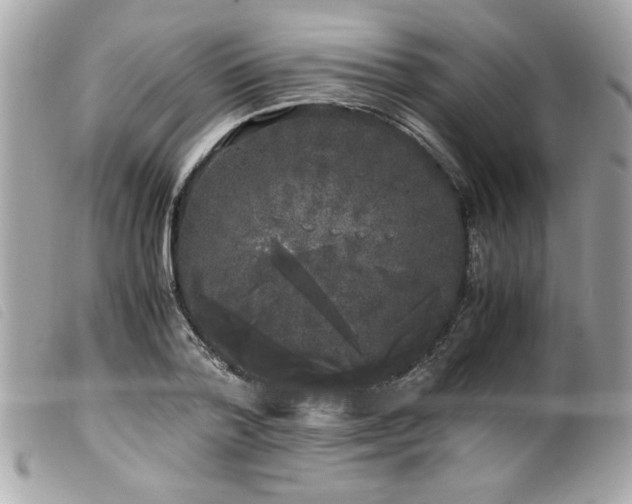 X0000100230788200805301411