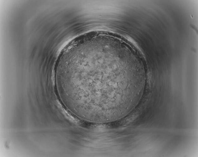 X0000100230791200805301411