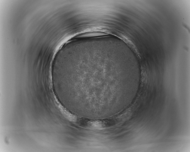 X0000100230792200805301411