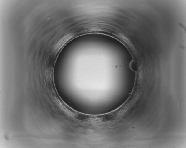X0000100230793200805301411
