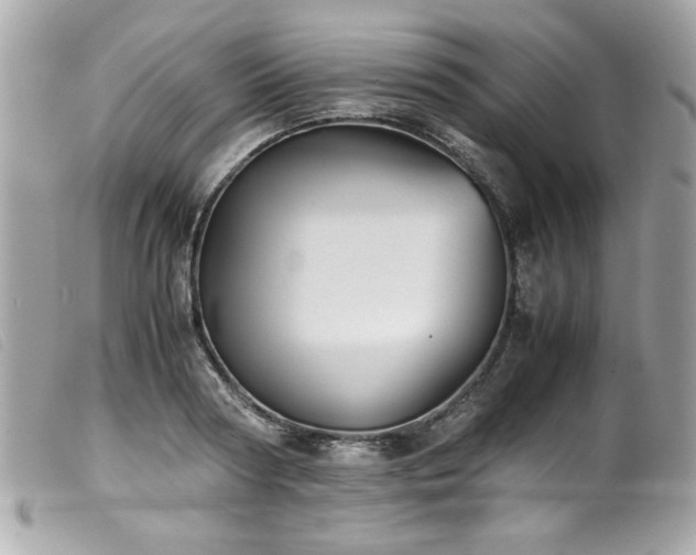 X0000100230794200805301411