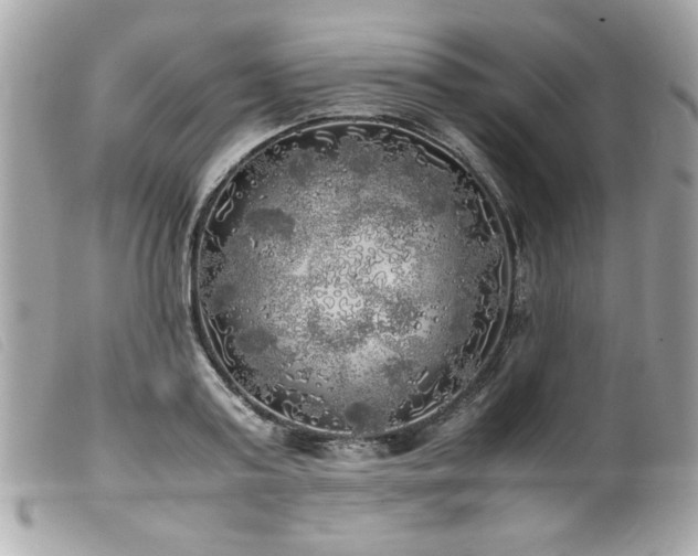 X0000100230795200805301411