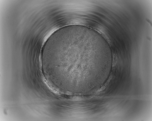 X0000100230796200805301411