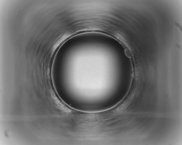 X0000100230797200805301411