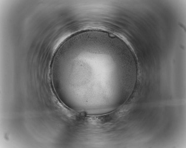 X0000100230799200805301411