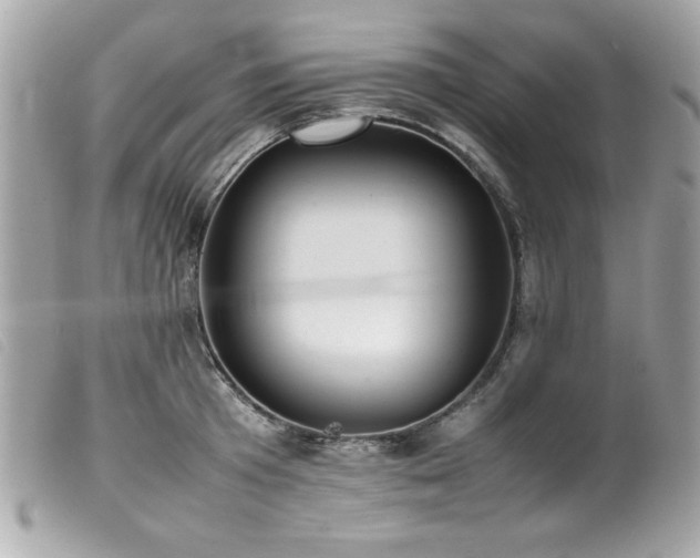X0000100230801200805301411