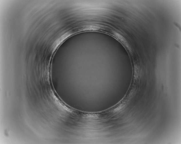 X0000100230802200805301411