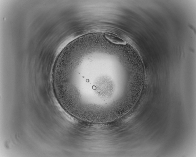 X0000100230803200805301411