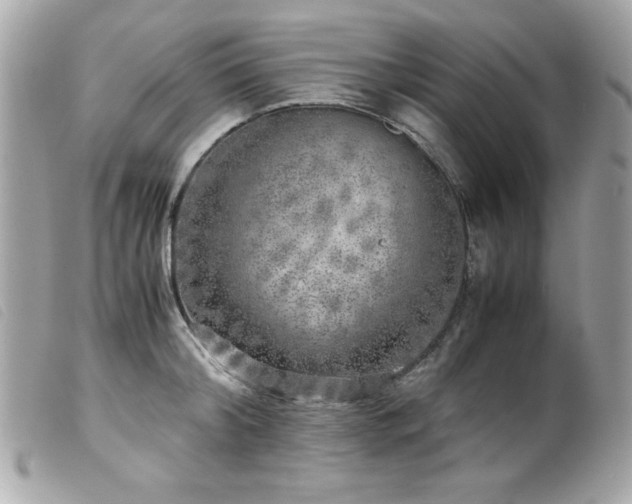 X0000100230804200805301411