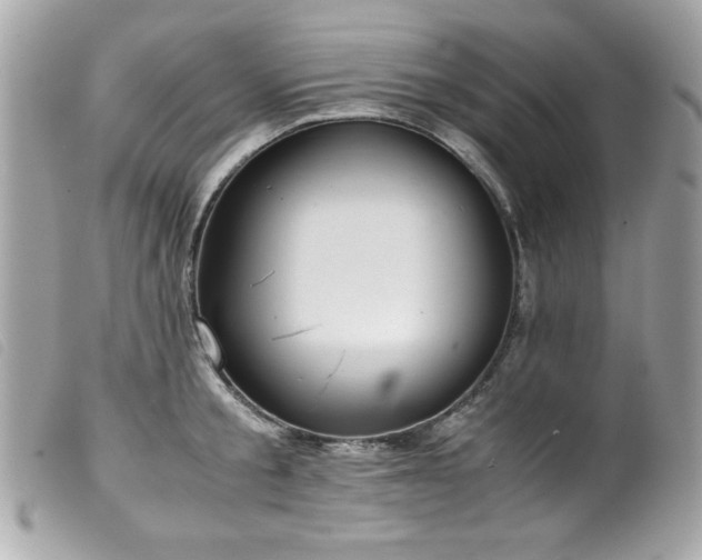 X0000100230805200805301411