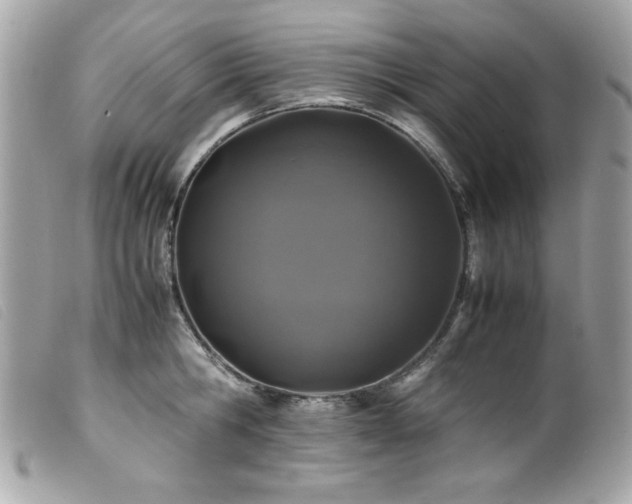 X0000100230806200805301411