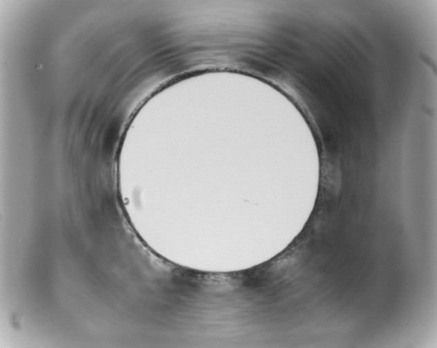 X0000100230807200805301411