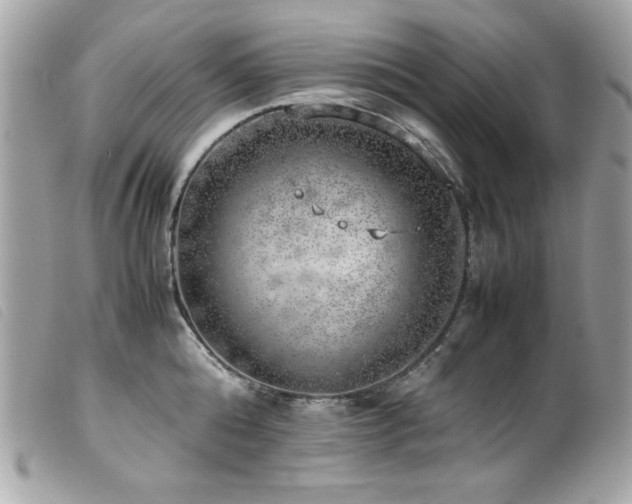 X0000100230808200805301411