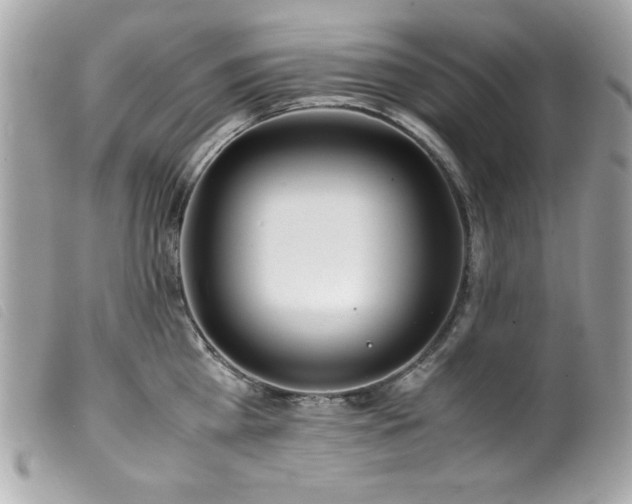 X0000100230809200805301411