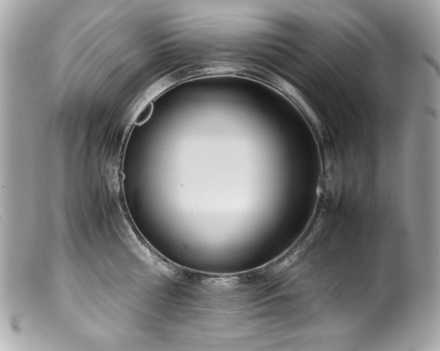 X0000100230810200805301411