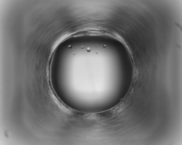 X0000100230811200805301411