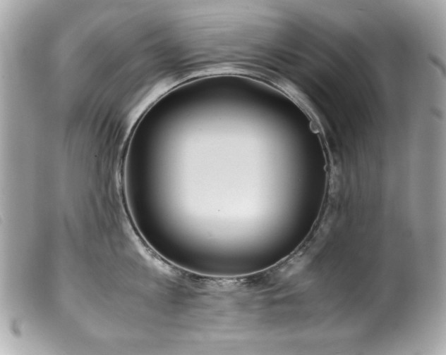 X0000100230813200805301411