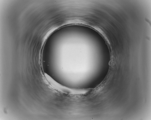 X0000100230815200805301411