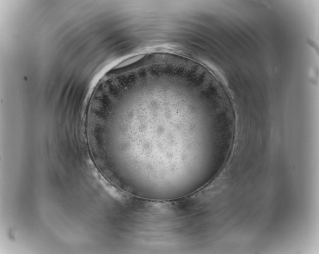 X0000100230816200805301411