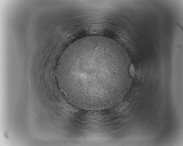 X0000100230817200805301410