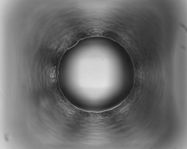 X0000100230818200805301410