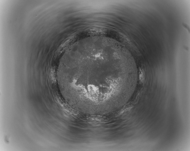 X0000100230819200805301410